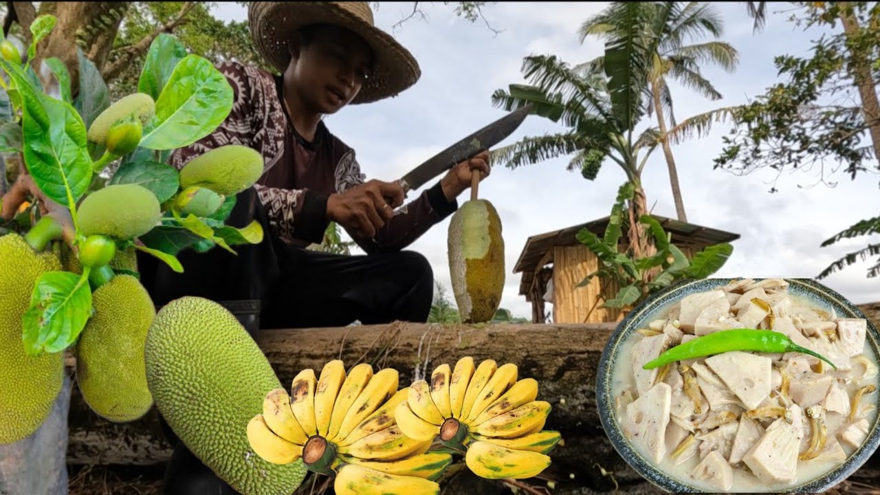 PITAS NG GULAYING LANGKA AT HINOG NA SABA SA NIYOGAN 