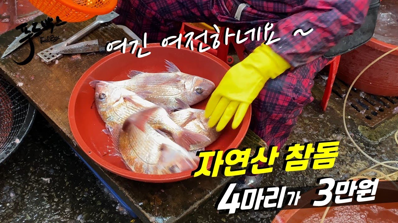 여긴 꼭 기억하세요 !!! 자연산 참돔 4마리를  3만원에 파는 시장...