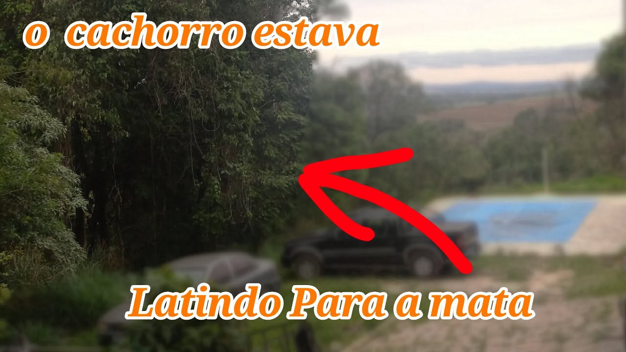 O Que Meu Cachorro Encontrou na Mata nos Assustou!