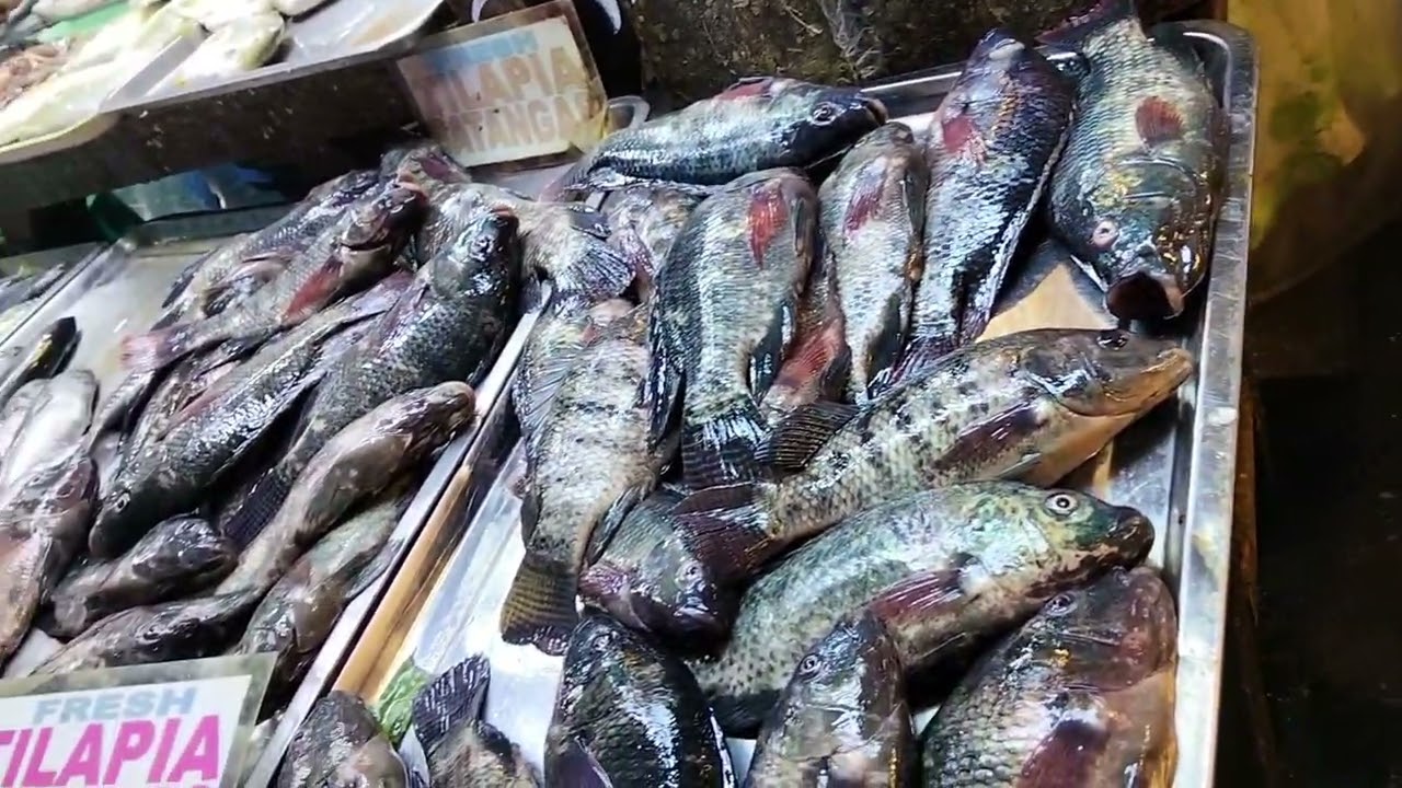 Morning market moments (Imus Palengke) | VLOG 3
