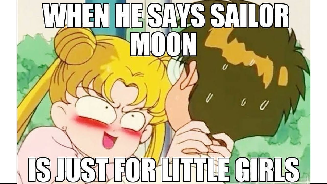 Sailor Moon Memes 3