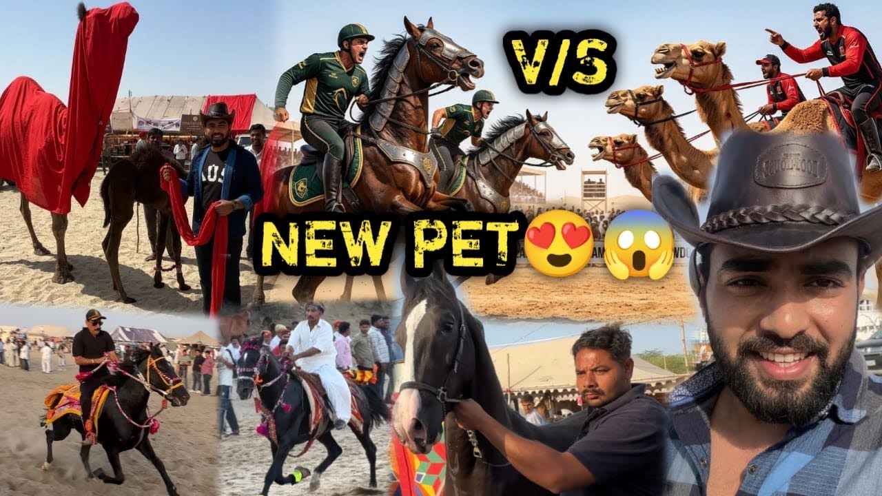 Finally Rajasthan Mai In Rocket 🚀 Ghode Ke Bich Mai Ek New Big Animal Pasand Aagya 🥳Horses VS ??