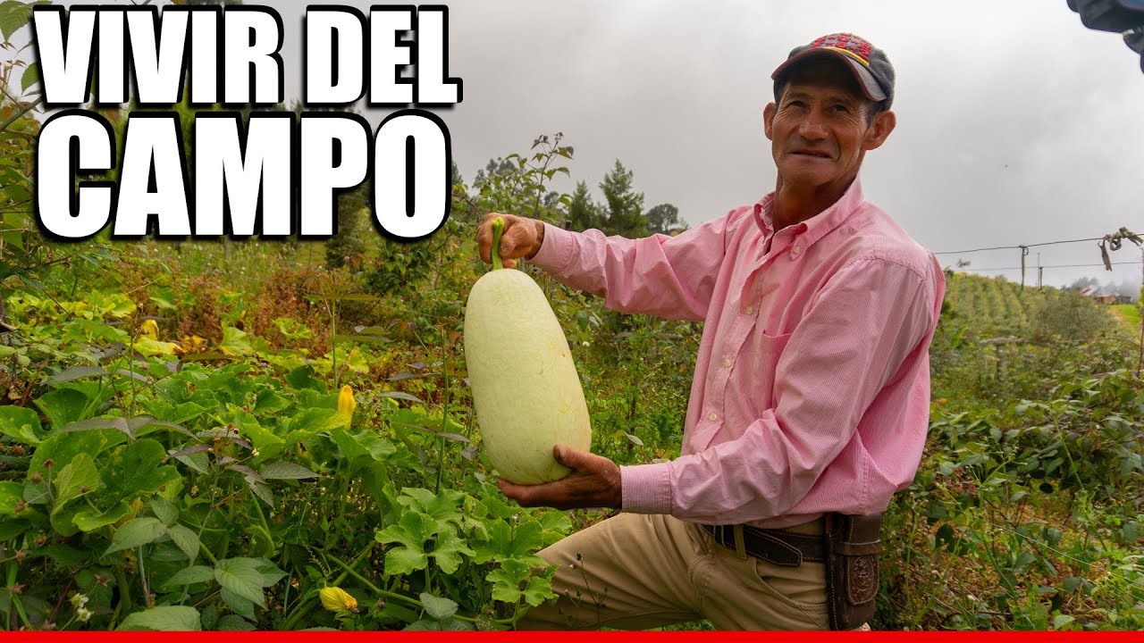 Así se cultiva y se Cosecha nuestro Propio Alimento
