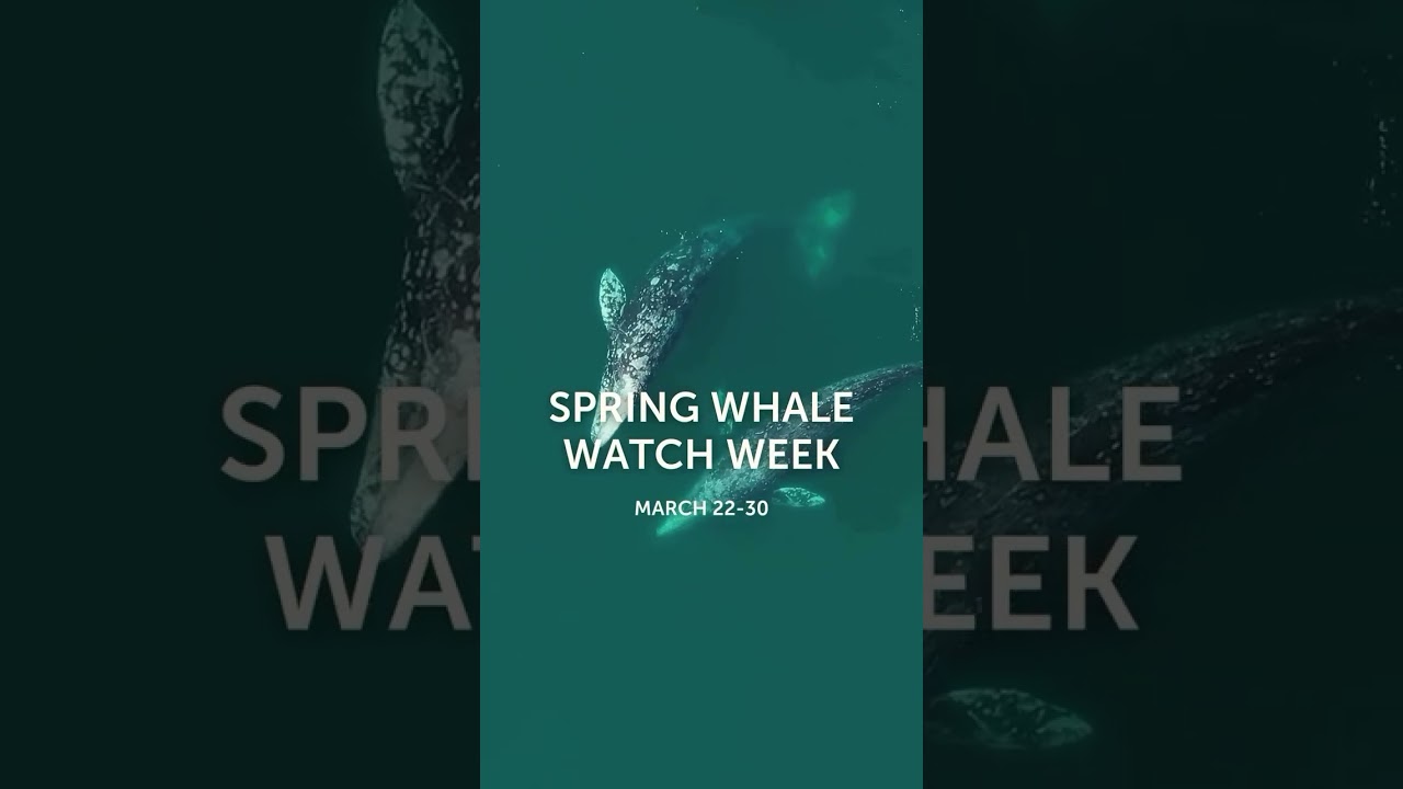 6 Spring Events on the Oregon Coast