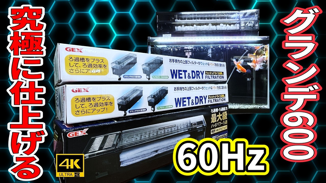🔰№８【スーパー上部濾過槽の設置方法】ゼロから始める金魚飼育】