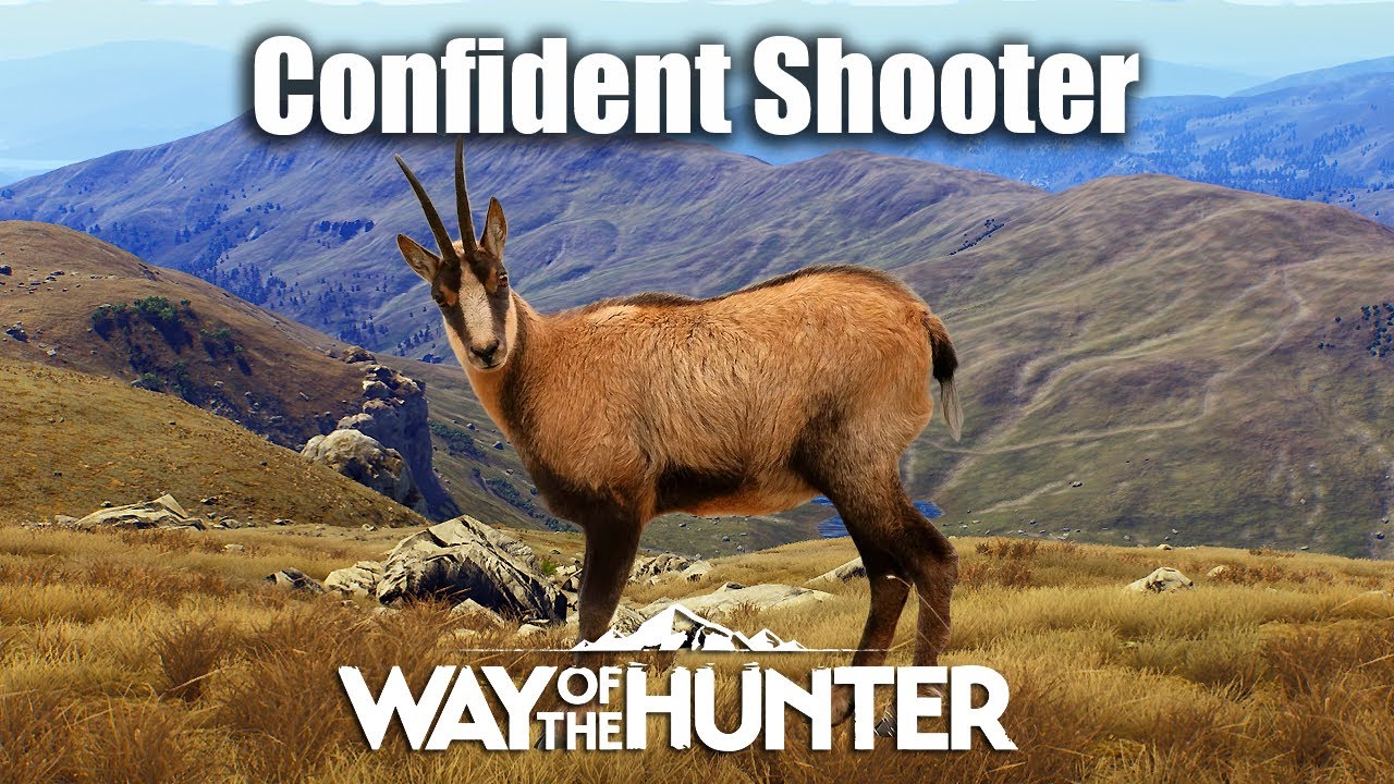 Way Of The Hunter - Confident Shooter