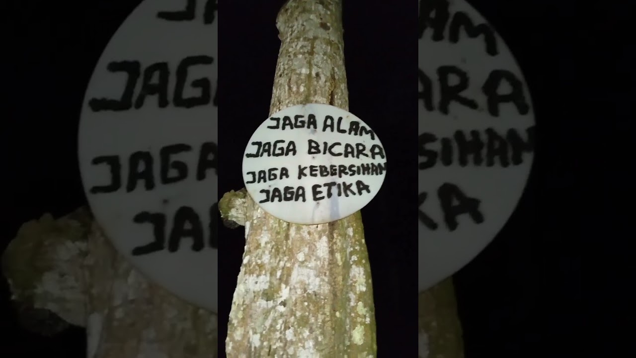 Mistis banget#gunung #kisah #cerita #horor #misteri #motivasi #trending #sejarah #malam