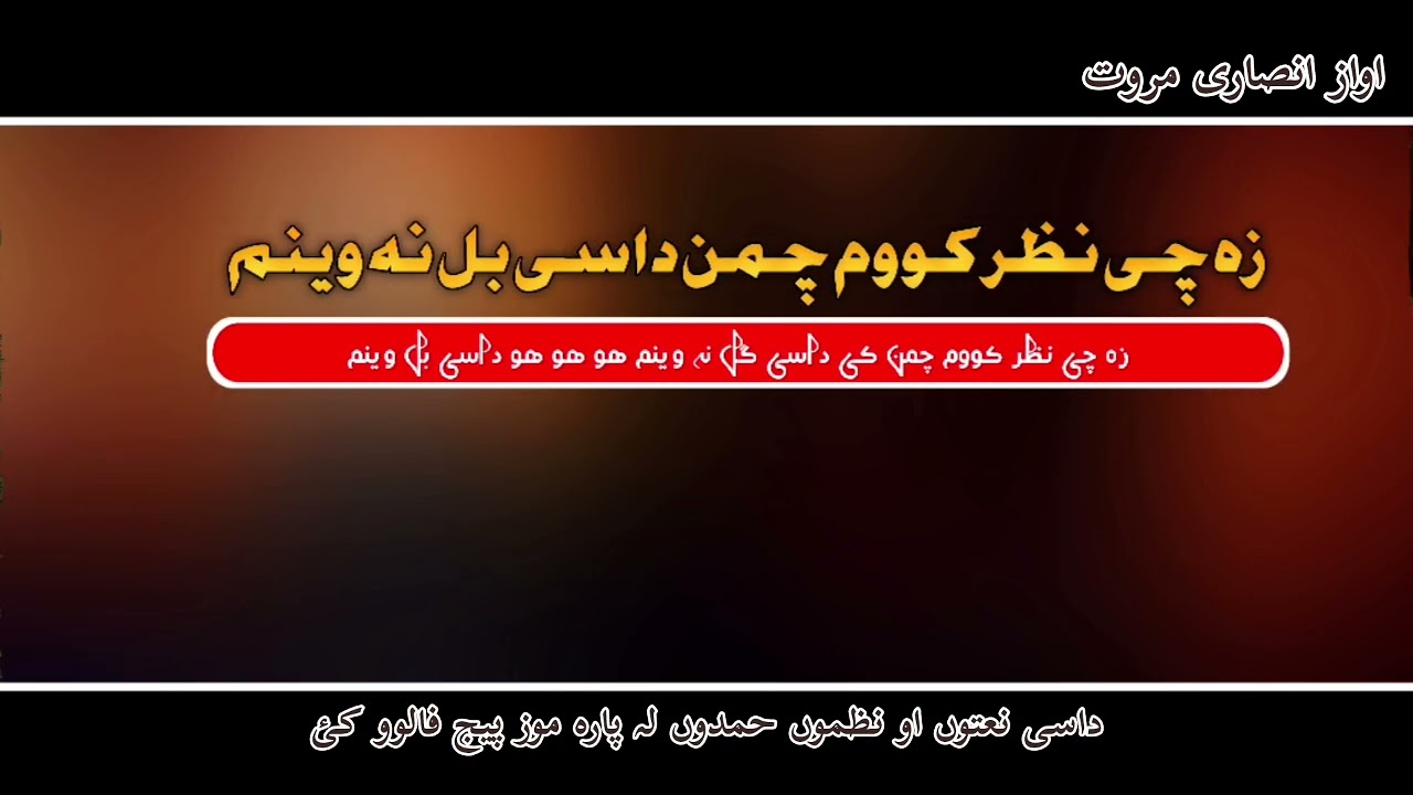 زہچی نظر کوم چمن کے داسی گل نہ وینم#duet #