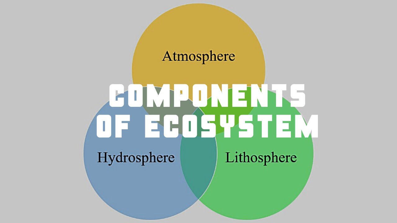 001: Components of Ecosystem