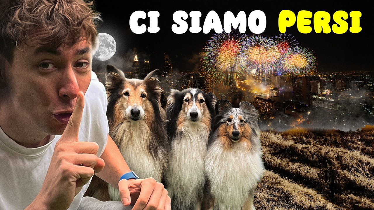 Ho ABBANDONATO TUTTO per Proteggere i Miei CANI a Capodanno