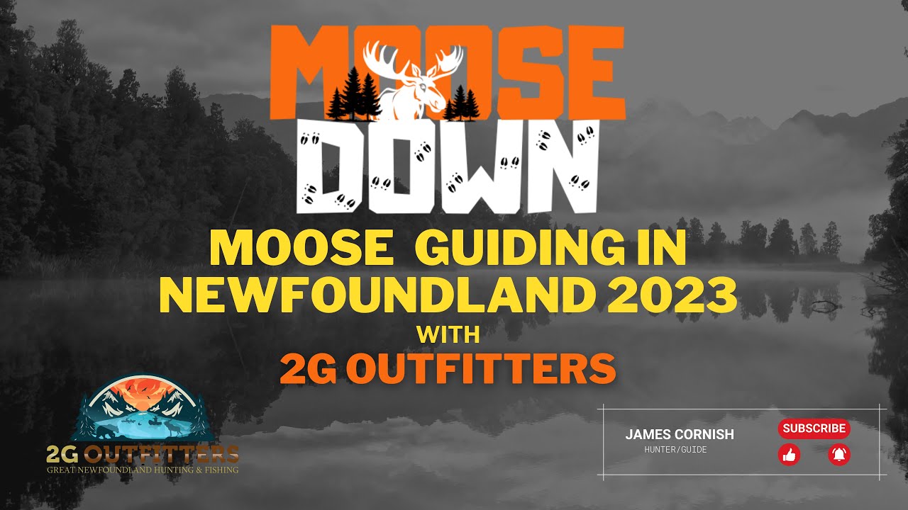 Moose Hunting & Guiding /w 2G Outfitters Newfoundland 2023