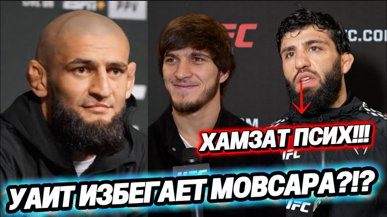БЕЗУМИЕ БОРЗА: Как Хамзат Чимаев «Унизил» Топов UFC! 😱 Мовсар Евлоев Идет за Титулом!