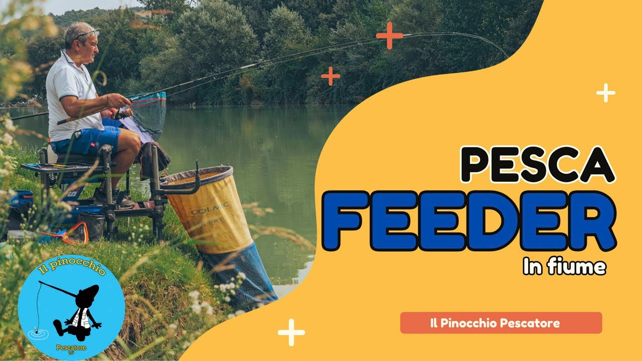 Pesca a Feeder nel fiume Ombrone