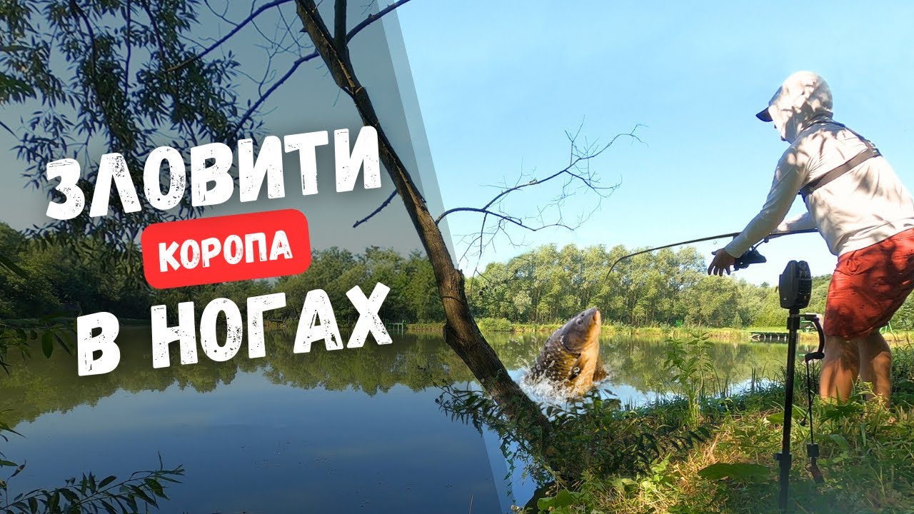 Ловля коропа в ногах. Рибалка на карпа В АНГЛІЙСЬКОМУ СТИЛІ