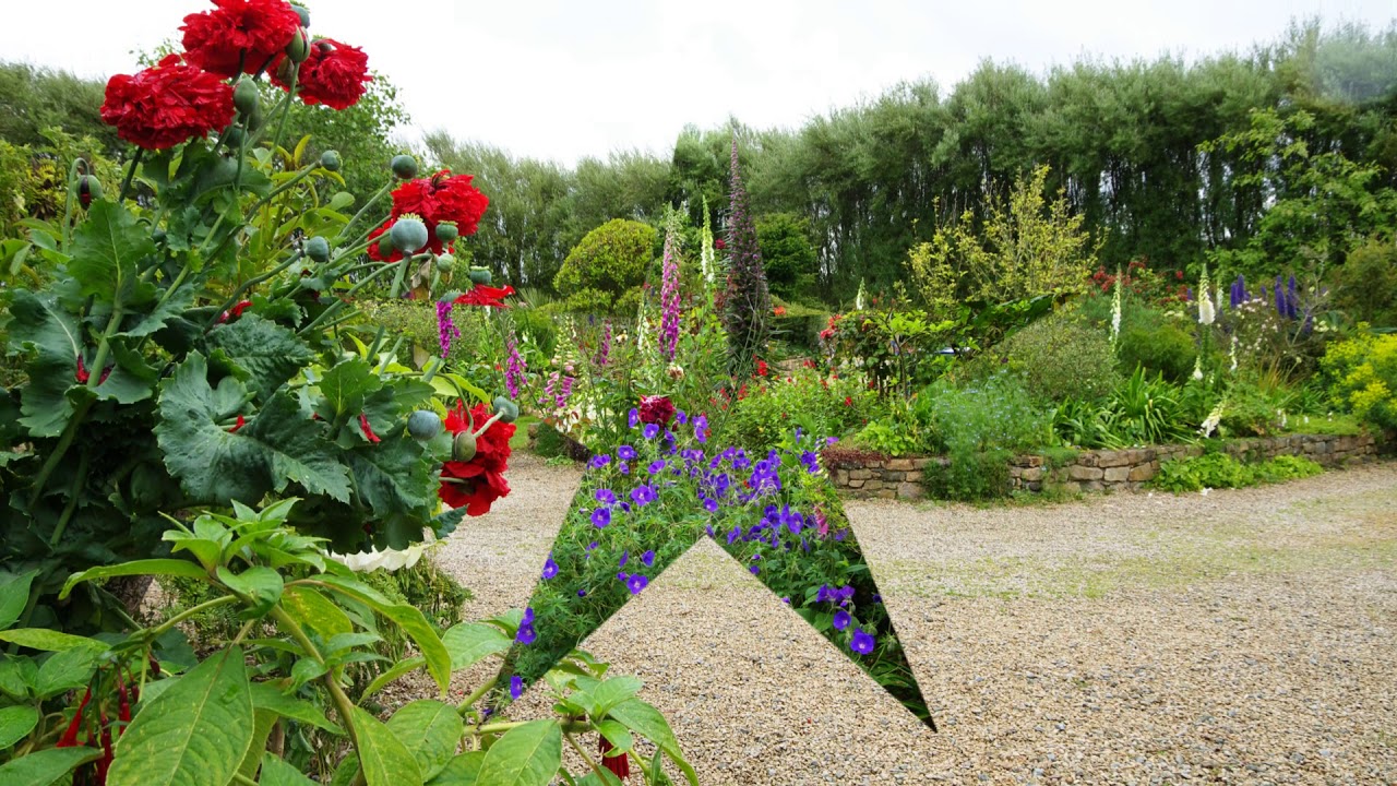 Jardins privés en Bretagne : Deux jardins dans le Finistère Nord 15 Juin 2013