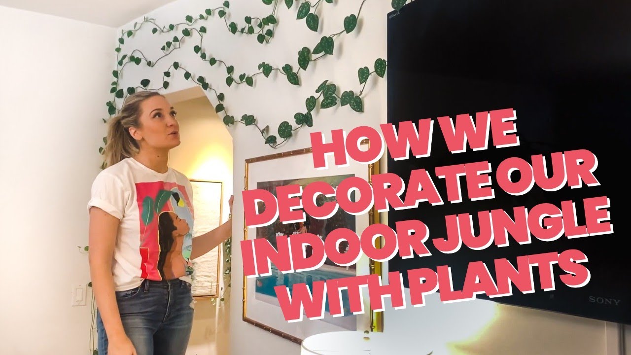 How to Decorate With Plants | Our Top 3 Creative Houseplant Decor Ideas to Create a Jungle Vibe