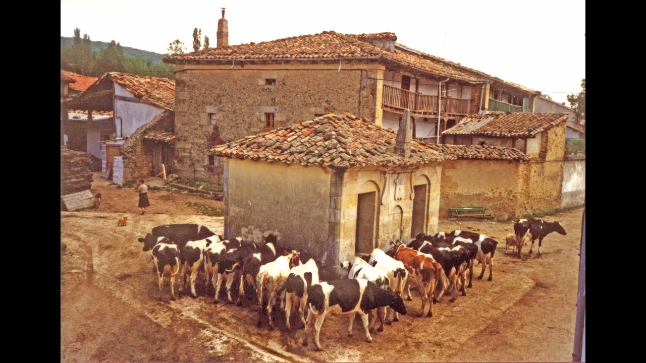 Quintanilla del Rebollar (Merindad de Sotoscueva - Burgos). Los Bolos: Testimonios. Cultura Viva.