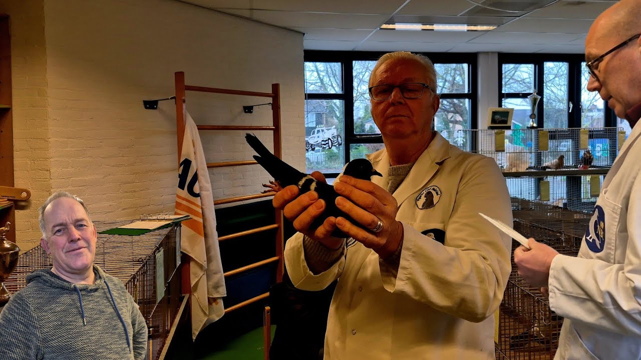 Kampioen Siervogels! HUİZEN 2025