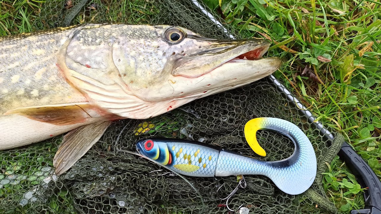 Szczupaki na casting | Salmo Slider | Rapala X Rap Otus | Vlog 9