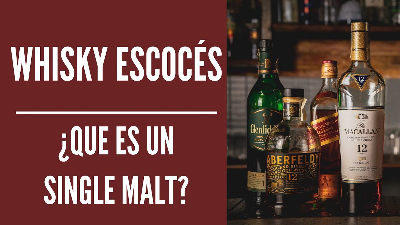 TIPOS DE WHISKY ESCOCÈS Ep. 1 ¿Que es un single malt whisky?