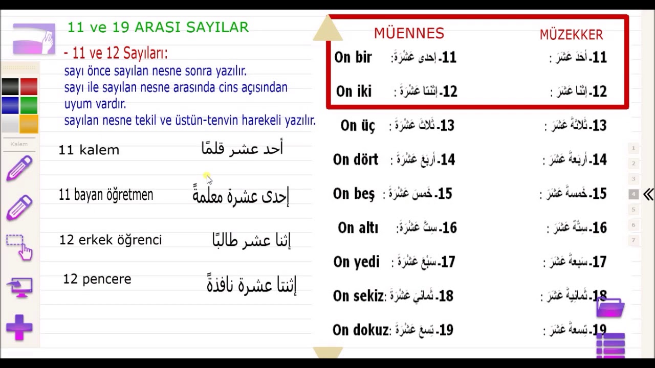 Arapça Dilbilgisi - Sayılar (1-19 Arası)