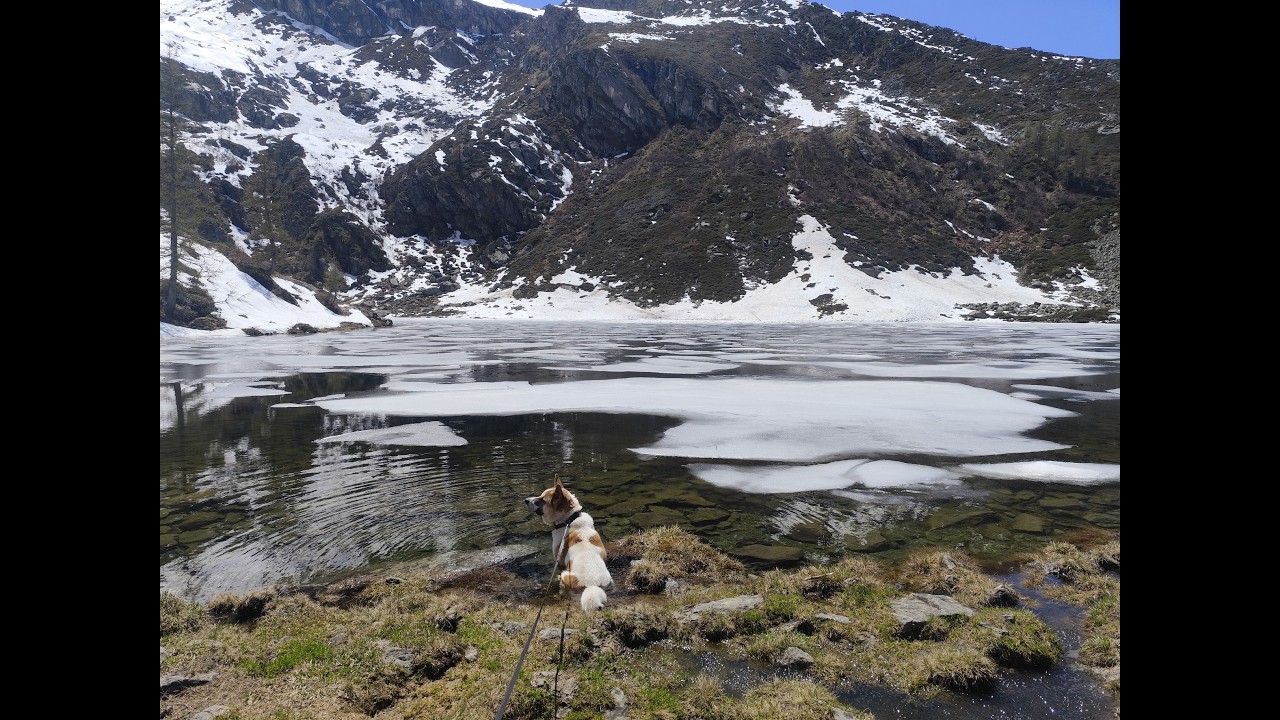 Escursione da Cornetti (Balme) al Lago di Afframont 23_05_2025