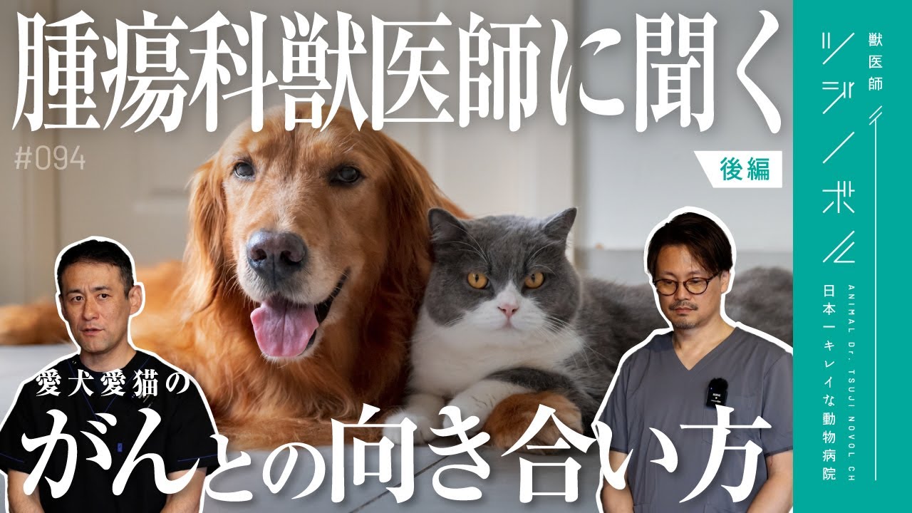 【犬猫のがん│後編】腫瘍科獣医に聞く抗がん剤治療以外の選択肢【獣医師ツジノボル】