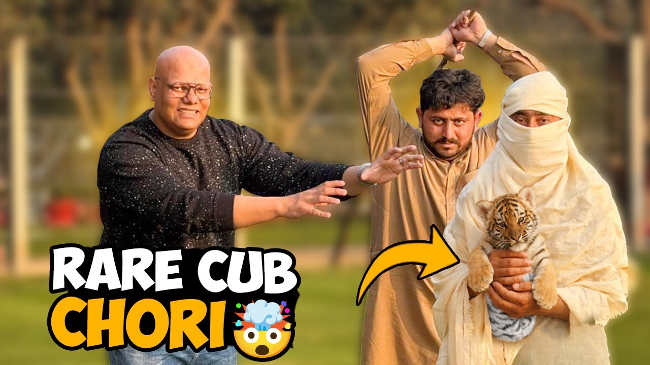 Rare Tiger Cub Chori Ho Gaya 😱🐯 | Cub Kahan Gaya? | BT Farm Stories