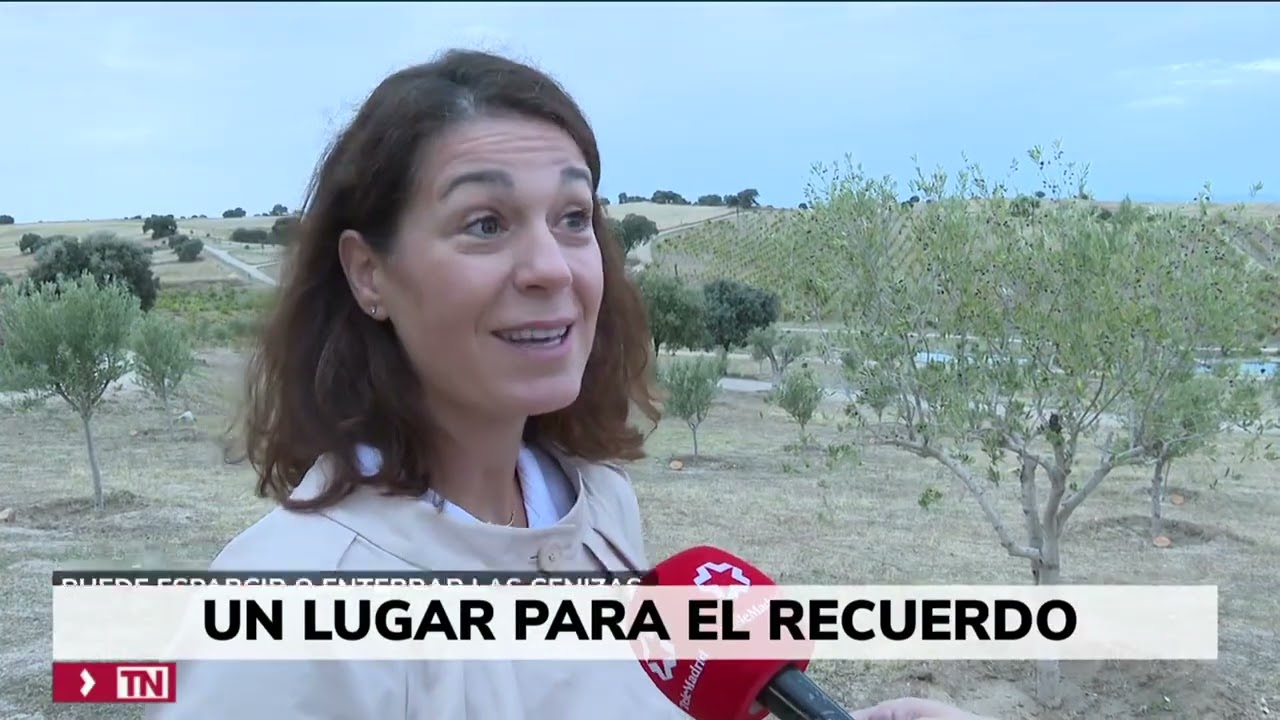 Las cenizas del recuerdo