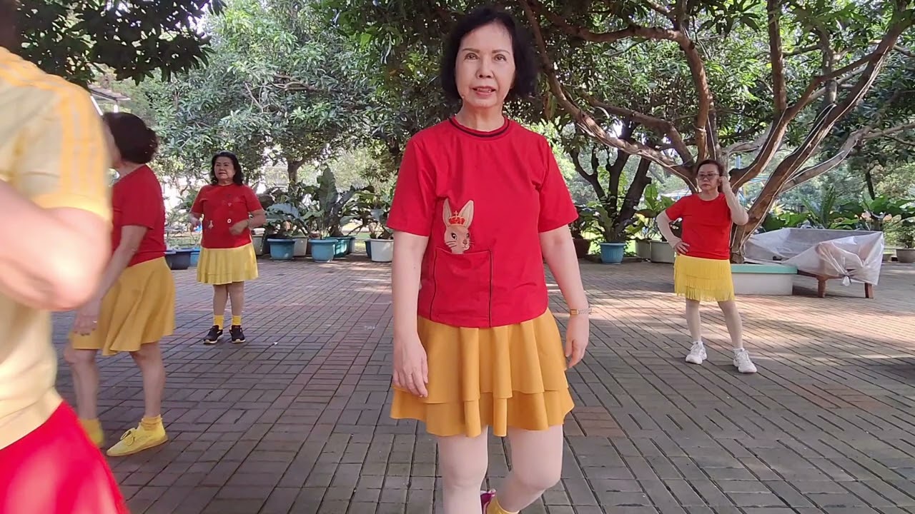 Xin Nian Kui Le Fa Fa Fa - linedance 