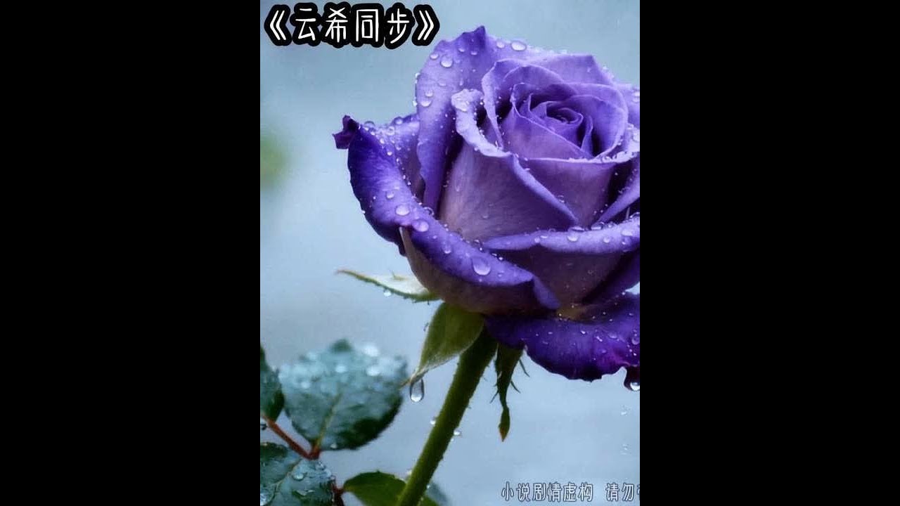 云希同步 #女生必看 #文荒推荐 #炒鸡好看小说