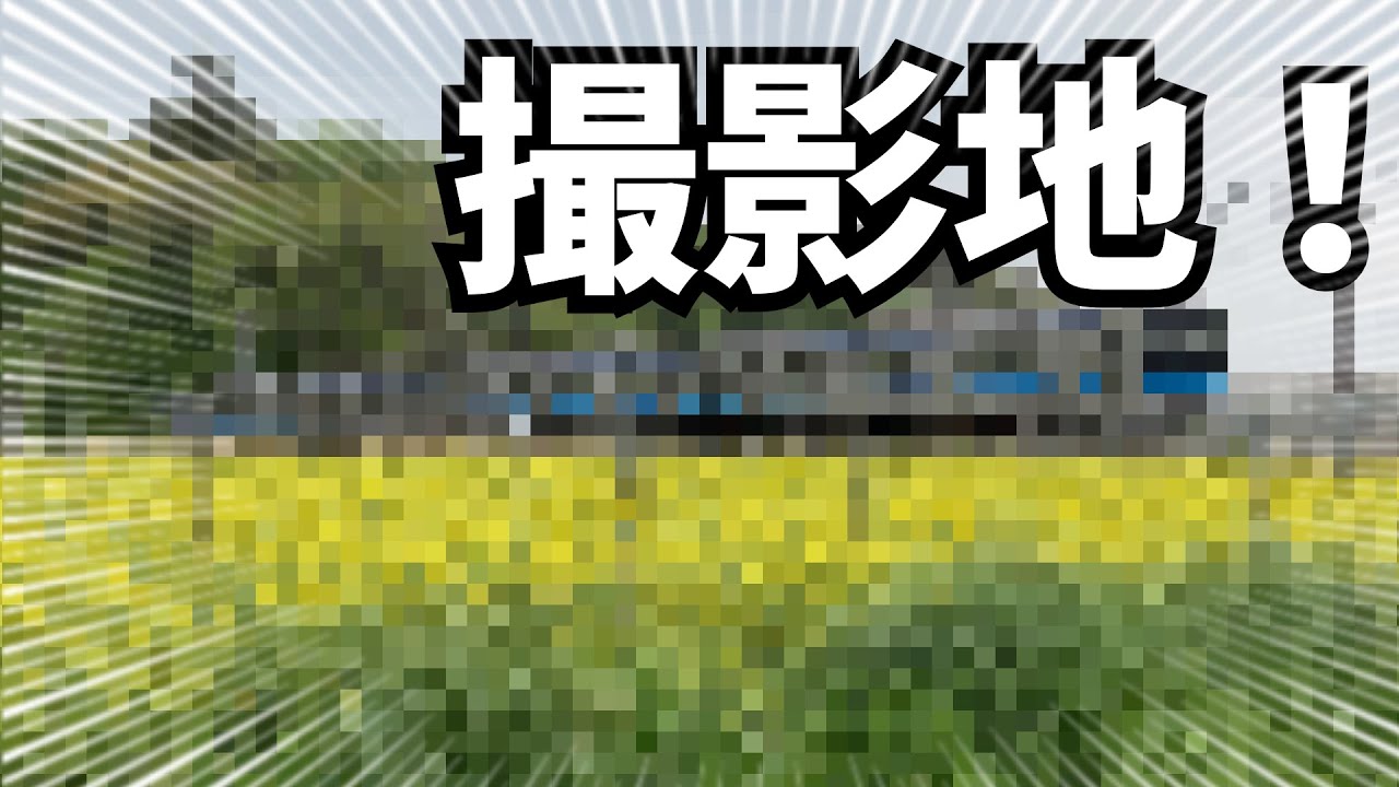 【字幕】仙石線の撮影地に行ってみた！