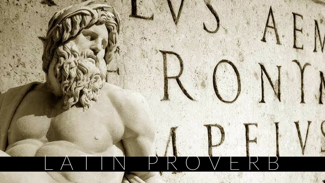 The difference between winners and losers. Latin Proverb