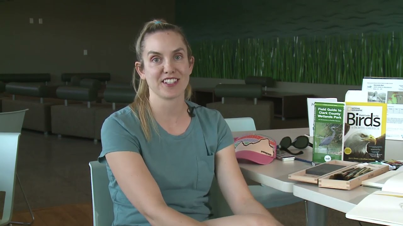 Wetlands Park Resident Artist Helps Tell Story of the Park's 