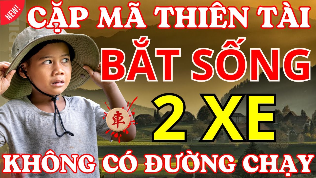 [ Cờ Tướng ] Xem Cặp Mã Đánh Mà Sướng Hết Con Mắt