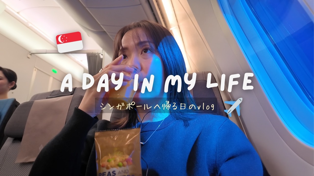🇸🇬3か月ぶりに海外生活へ戻る日｜日本→シンガポール
