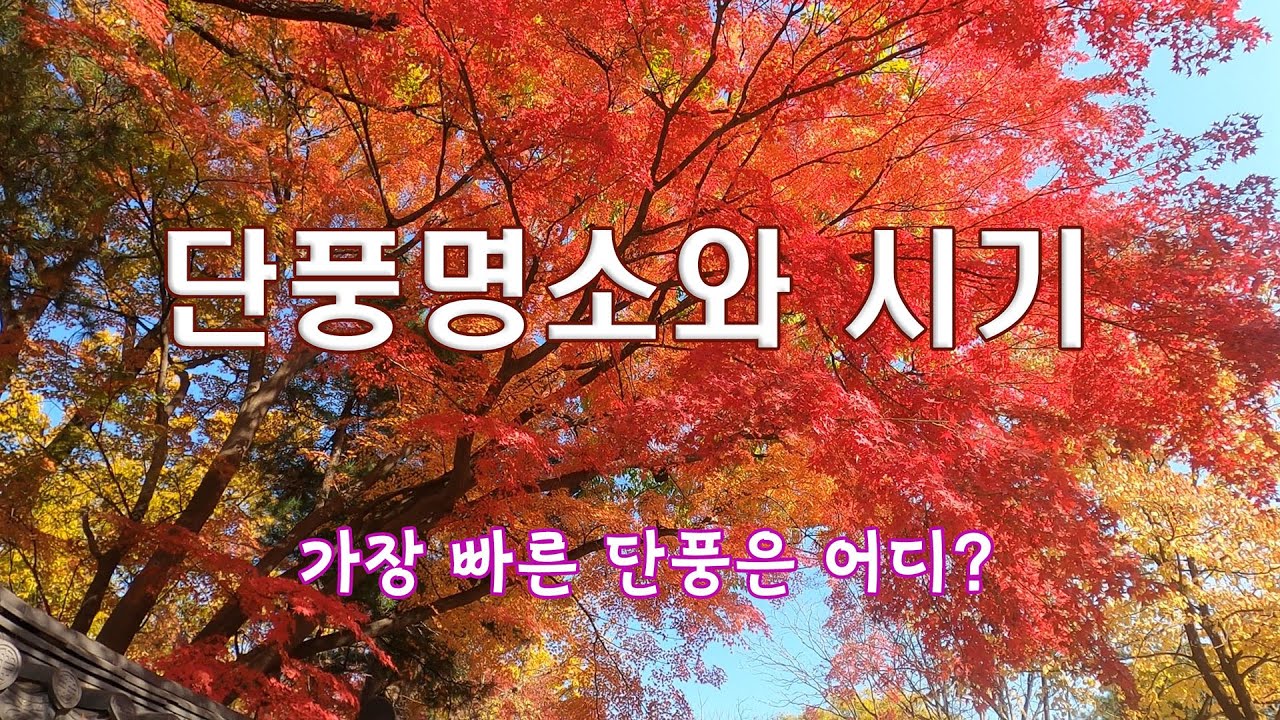 단풍명소 절정 시기와 가장 빠른 곳은?