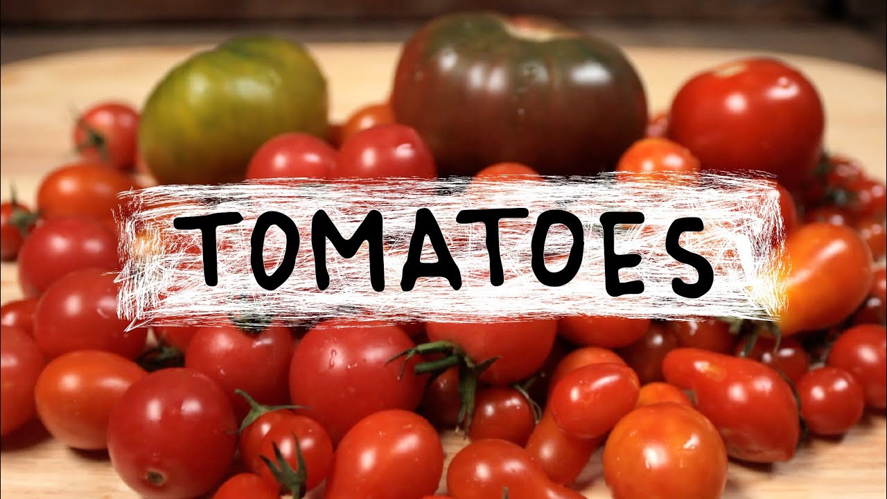 Tomatoes - Superfoods, Episode 4