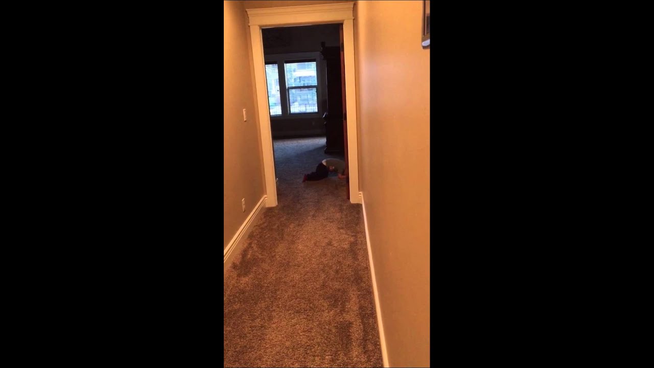 Max is Pooping