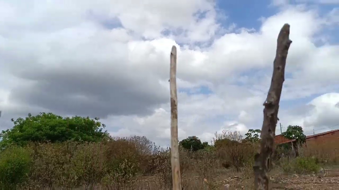 MOSTRANDO LARA ENCHENDO AS GARRAFA E MOSTRANDO UM POUCO DO MEU QUINTAL