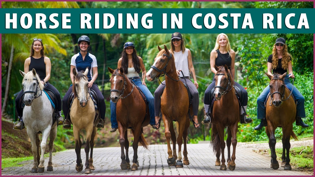 Horse Riding in Costa Rica at Blue Zone Equestrian
