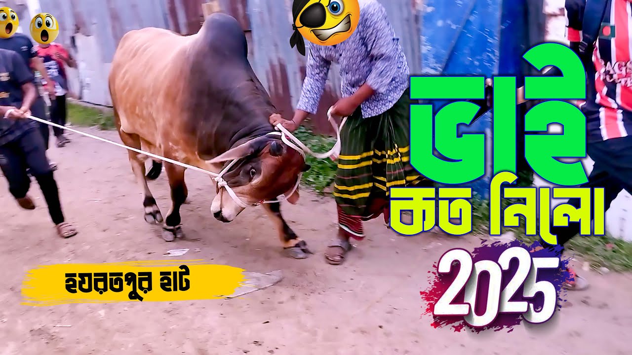 Bhai Koto Nilo? Paragram (Hozrotpur) Gorur Haat 2025 - Part-9 | Cow Price in Bangladesh