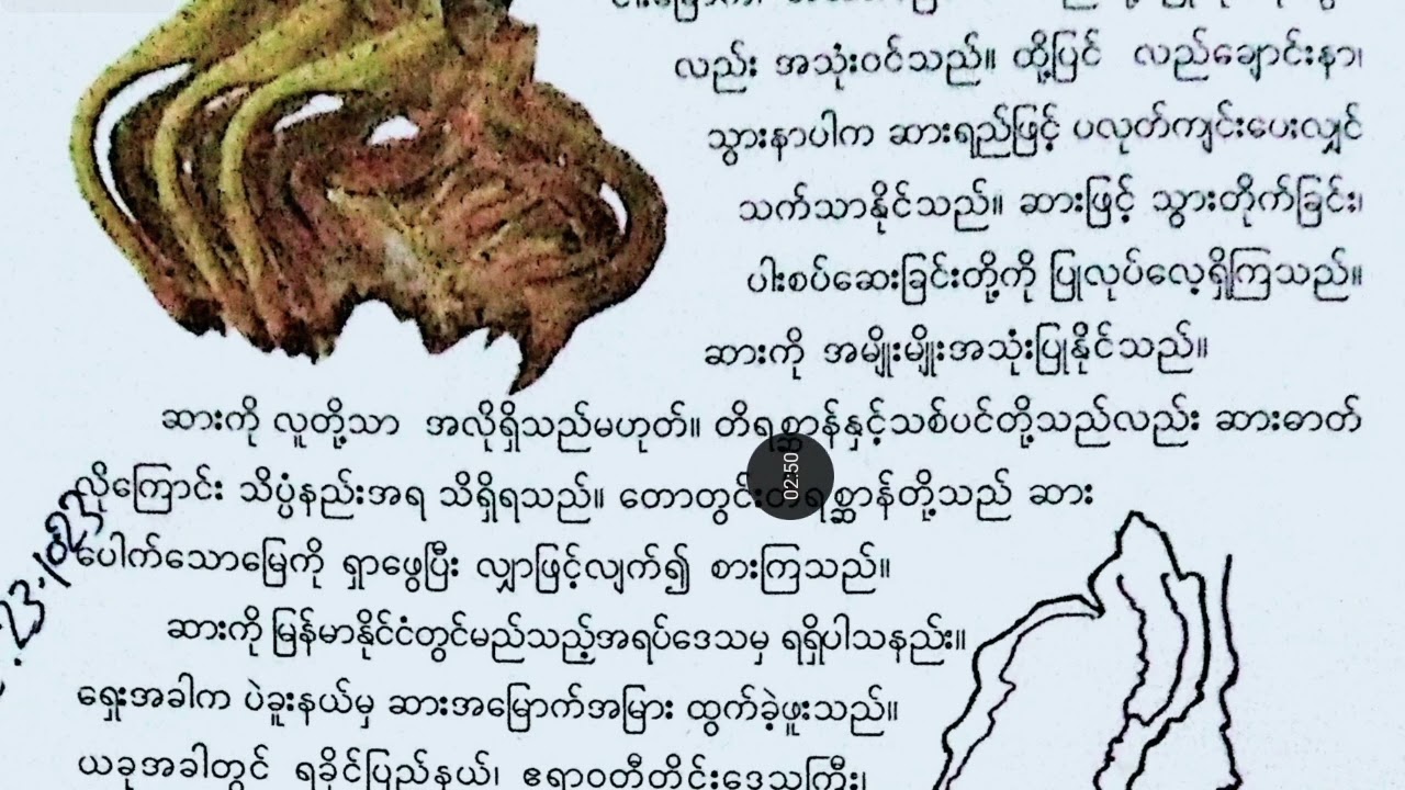 New Grade -4, Burmese, သင်ခန်းစာ - ၅၊ ဆား၊Part-2 