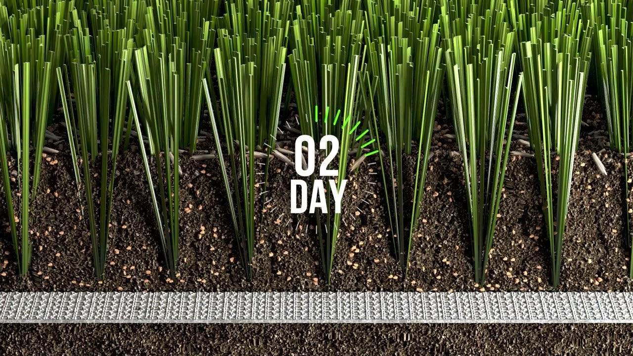 Hybrid Grass System
