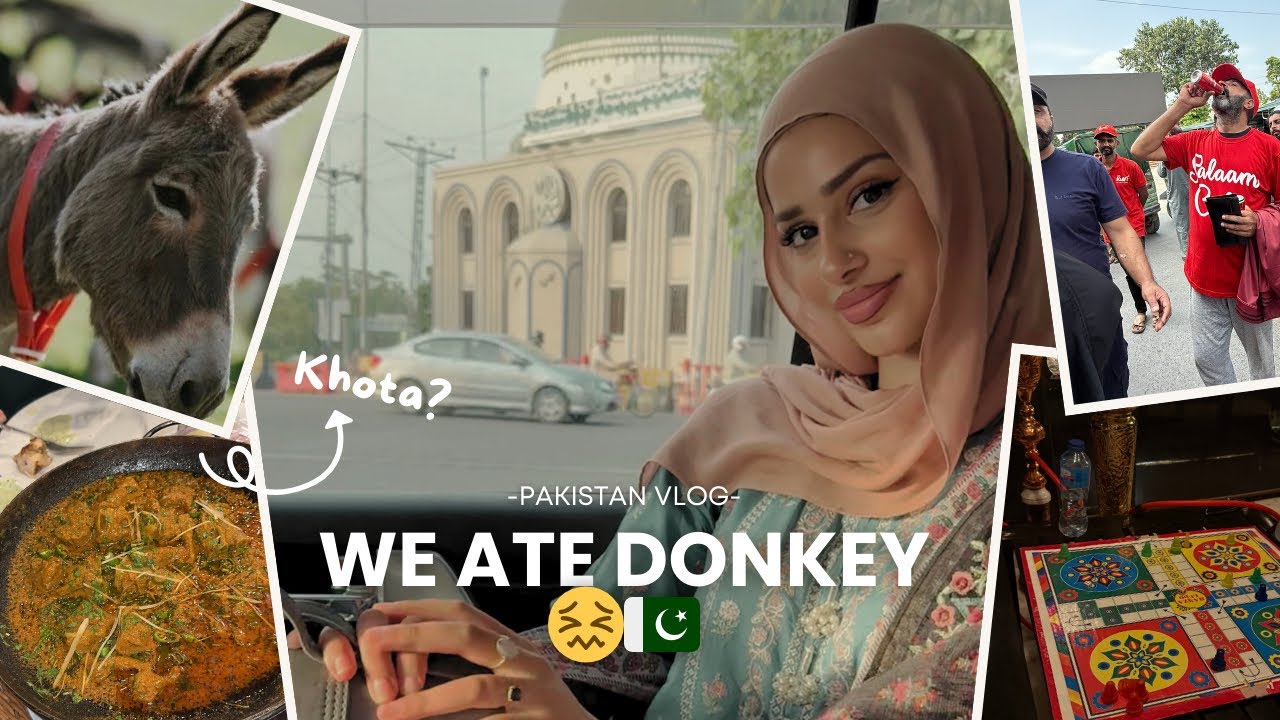 WE ATE DONKEY IN PAKISTAN 😣 | PAKISTAN VLOG AUGUST 2025 | LAIBAALIMIAN