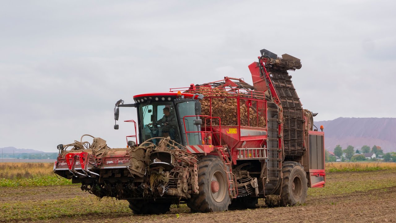 Уборка сахарной свеклы / HOLMER Terra Dos T4-30 /