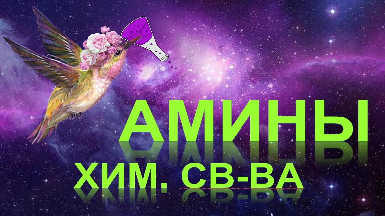 57. Амины (часть 3)