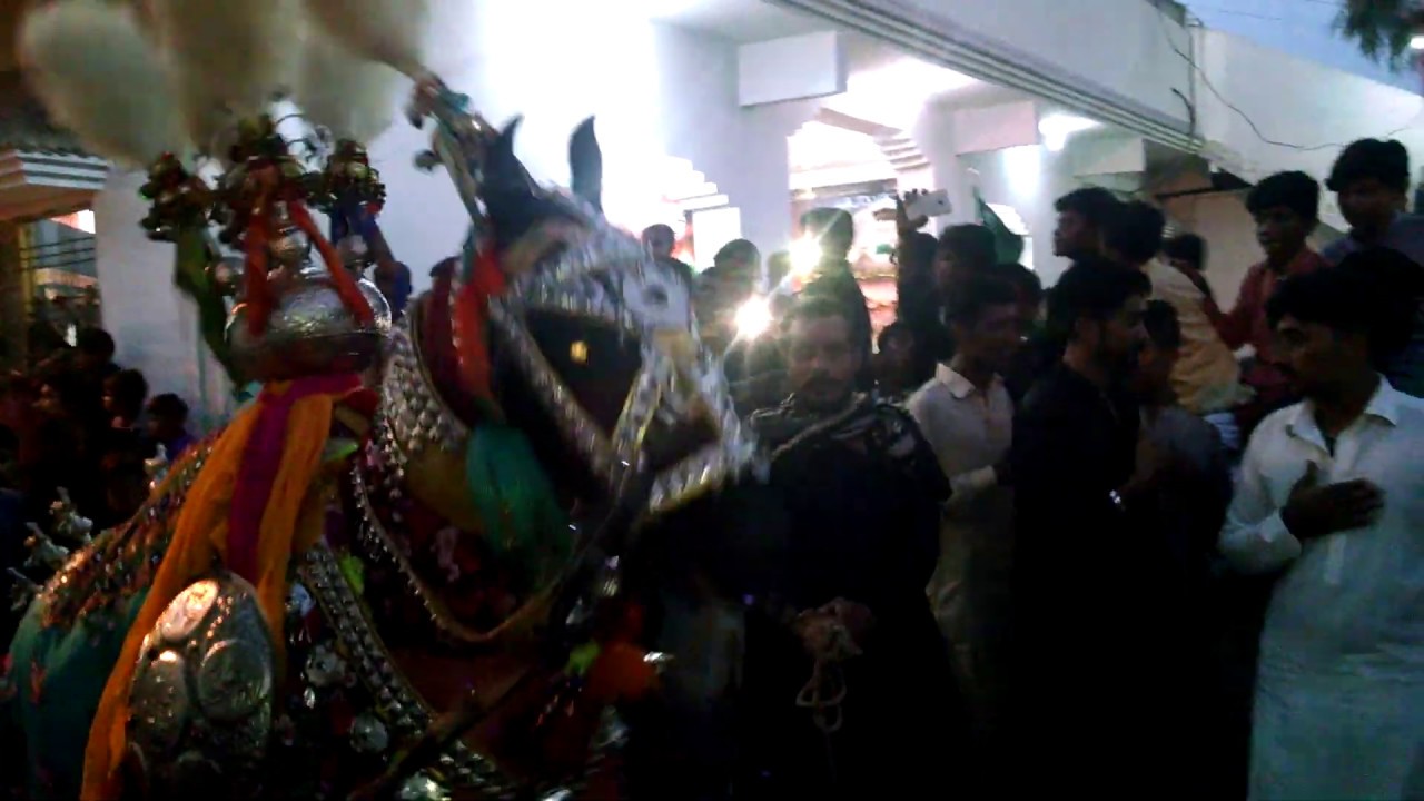 zuljanah intry in dargah masoom shah bukhari at  hussainabad hyd pakistan