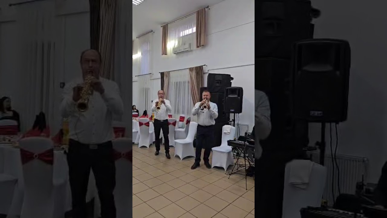 Marius Miloșescu și Cosmin Br&acirc;ncoveanu...Br&acirc;uri