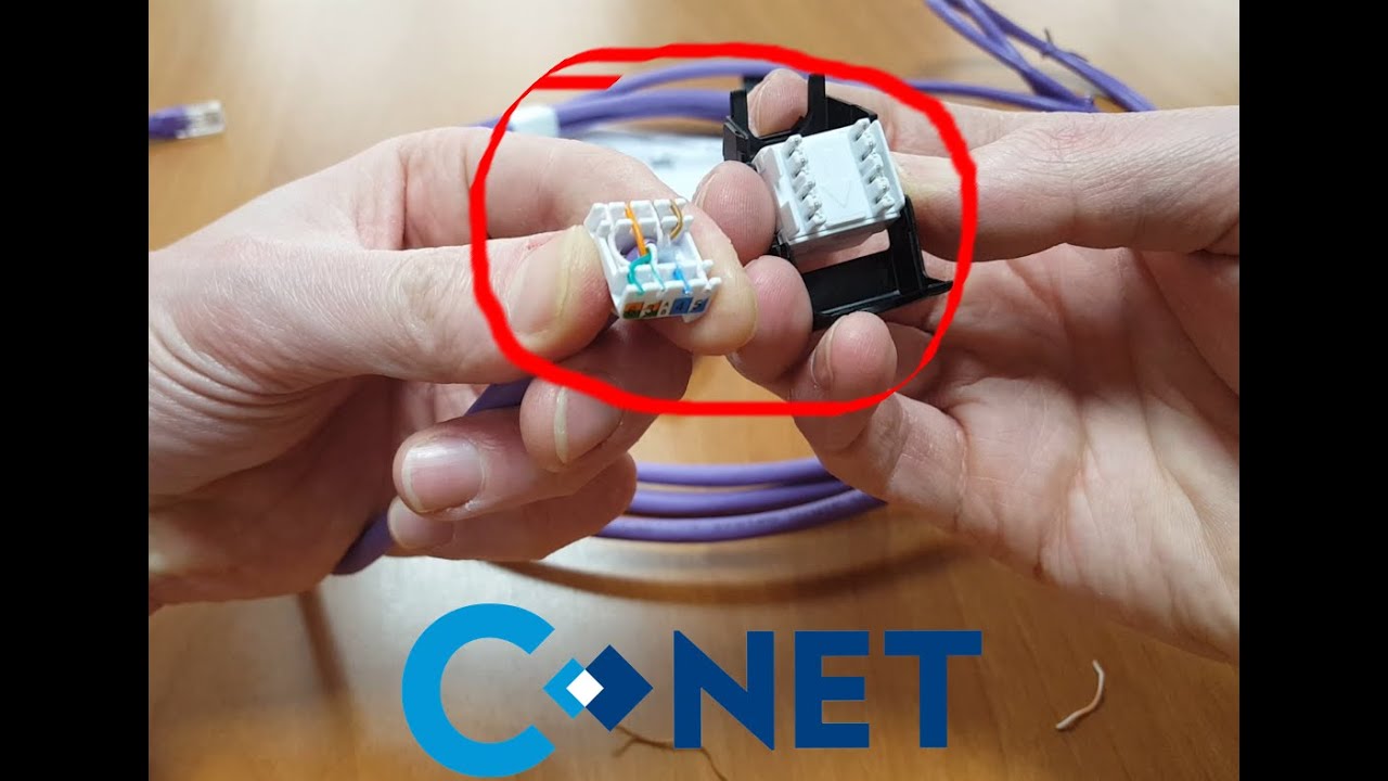 CNET CAT6 UTP KEYSTONE Toolless Module QUKEYSTONEC6